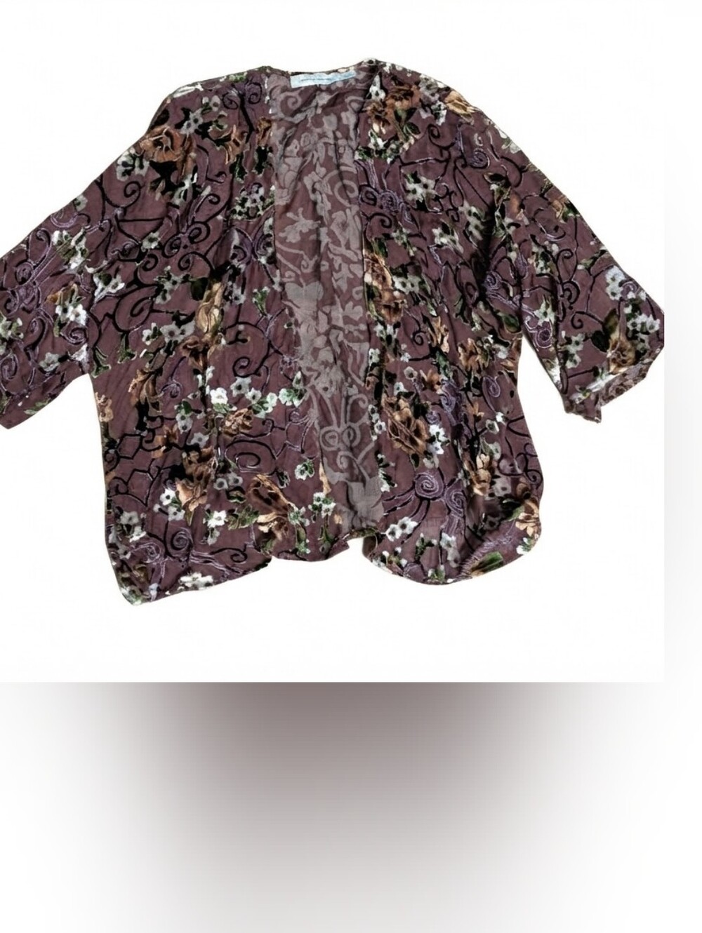 Bishop + Young Burnout Velvet Top Size Small Brown Floral Sheer Whimsigoth